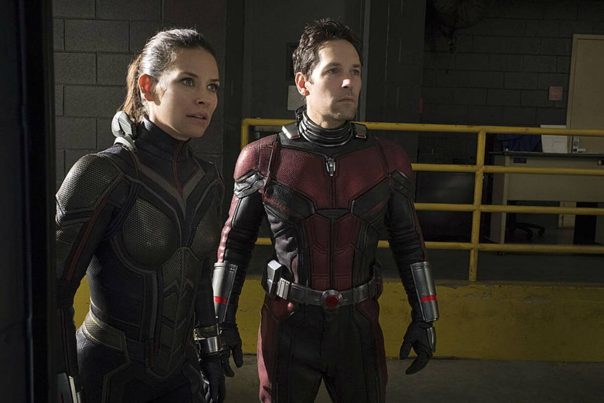 La secuela del film de 2015 protagonizado por Paul Rudd y Evangeline Lilly ya tiene su adelanto oficial; su estreno en la Argentina está previsto para el 5 de julio