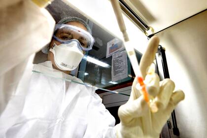 La secuenciación del genoma del coronavirus se hizo en el Anlis Malbrán