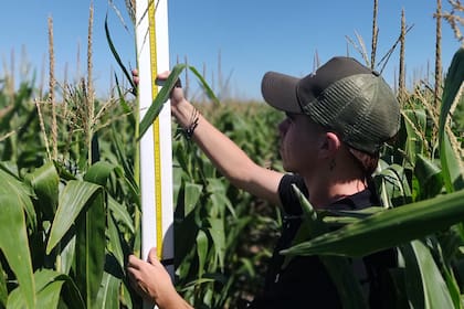 La sede de la UBA en América permite cursar hasta el tercer año de Agronomía