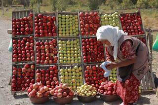 La erradicación del hambre es una responsabilidad compartida