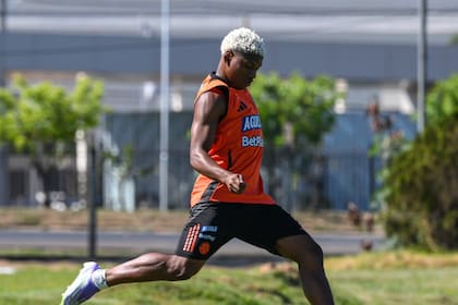 La selección colombiana inicia su camino en el mundial Sub-20 el próximo 29 de septiembre en contra de Arabia Saudita (X/@FCFSeleccionCol)