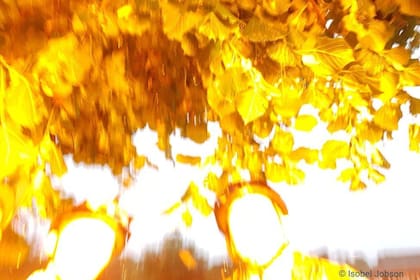 La selfie con la que registraron el momento exacto en que los impactó el rayo