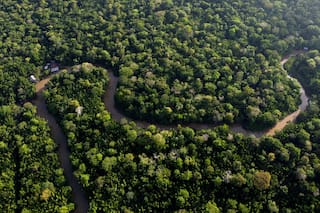 América Latina y el Caribe en un momento crucial ante la COP28