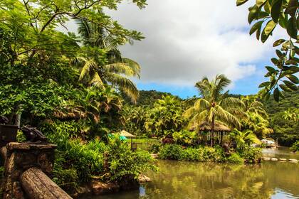 La selva tropical de Hainan