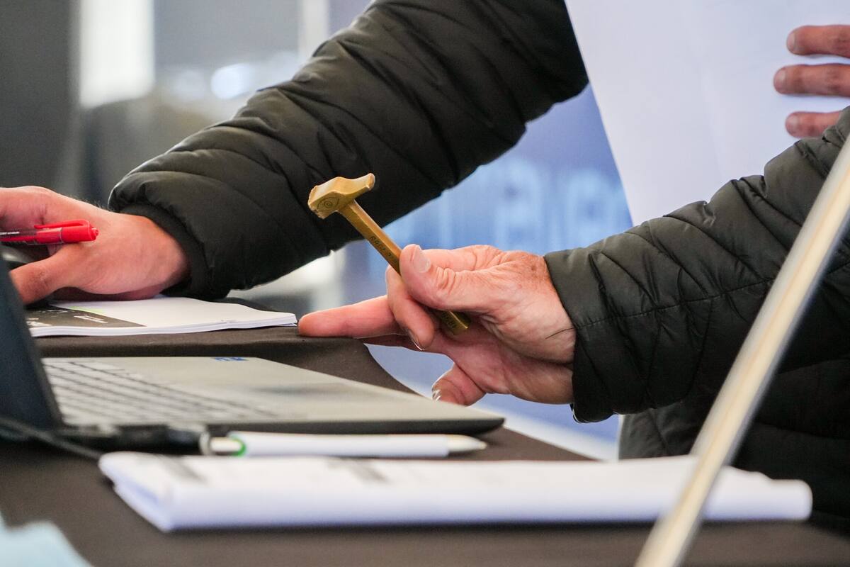 La Semana Angus de Primavera se desarrolla en el Centro de Remates y Exposiciones Angus en Cañuelas