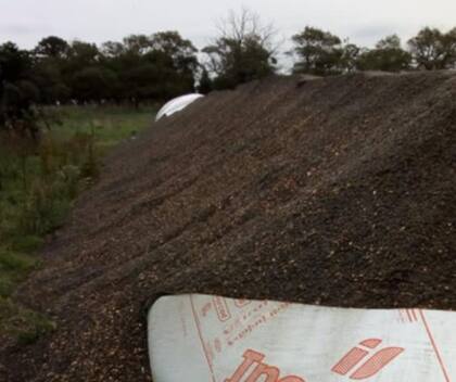 La semana pasada, en Orense, en el partido de Tres Arroyos, destruyeron dos silobolsas con 220 toneladas de girasol