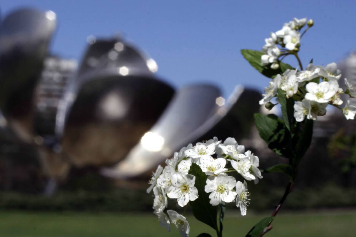 La semana se presenta con días soleados y temperaturas máximas que podrían alcanzar los 25 grados, informó el SMN