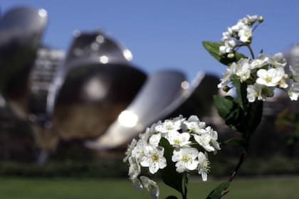La semana se presenta con días soleados y temperaturas máximas que podrían alcanzar los 25 grados, informó el SMN