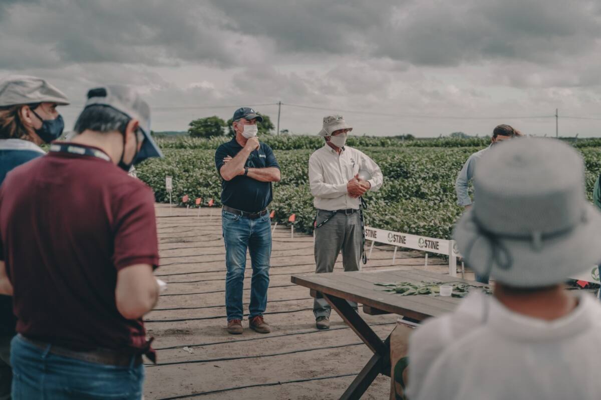 La semillera americana abrió las puertas a su estación experimental en Venado Tuerto para mostrar los desarrollos que vienen realizando estos tres años que están en la Argentina