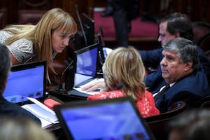 La senadora Anabel Fernández Sagasti habla con su par José Miguel Mayans durante la sesión especial en la que se trata el proyecto de modificación de regímenes jubilatorios de jueces y diplomáticos.12/03/2020