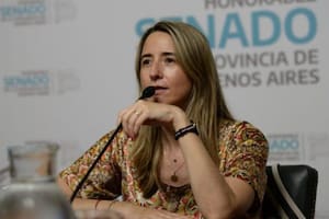 La senadora bonaerense Flavia Delmonte (UCR) afronta un pedido de desafuero; está acusada de liderar una red de "ñoquis" y "prestanombres" en la Legislatura
