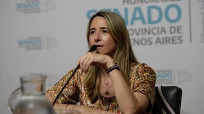 La senadora bonaerense Flavia Delmonte (UCR) afronta un pedido de desafuero