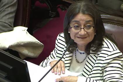 La senadora Corpacci votará en contra de la Ley Bases.