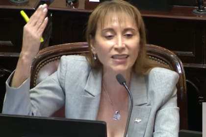 Mayans criticó el "tratamiento exprés" y Bullrich defendió el Presupuesto antes de la votación