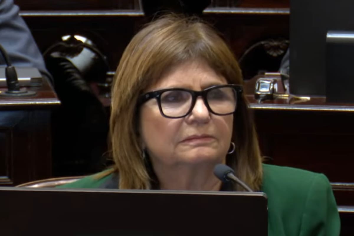 La senadora de La Libertad Avanza, Patricia Bullrich, desactivó la preocupación y enfatizó que el proyecto de ecocidio no va a prosperar