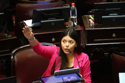 La senadora de LLA María Orozco. Tratamiento de la baja de edad de imputabilidad.
