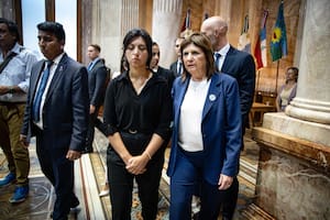 La senadora de LLA se vio con la madre del joven asesinado en el Senado