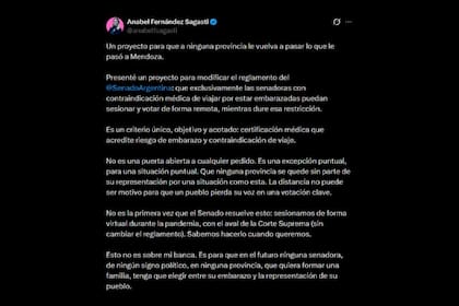 La senadora de Unión por la Patria (UxP), Anabel Fernández Sagasti, presentó este lunes un proyecto para que senadoras embarazadas puedan sesionar y votar a distancia