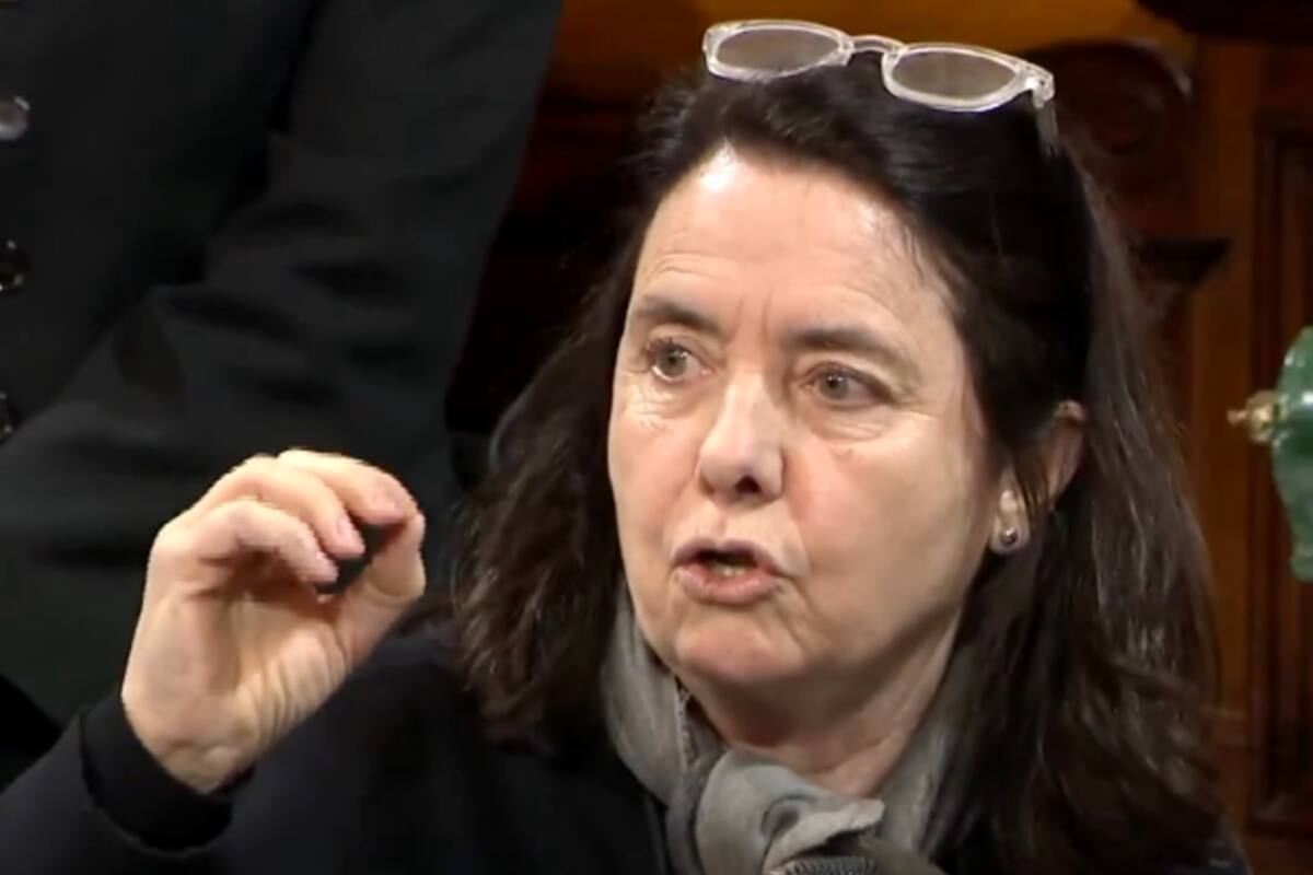 La senadora del Pro por la provincia de Córdoba, Carmen Álvarez Rivero