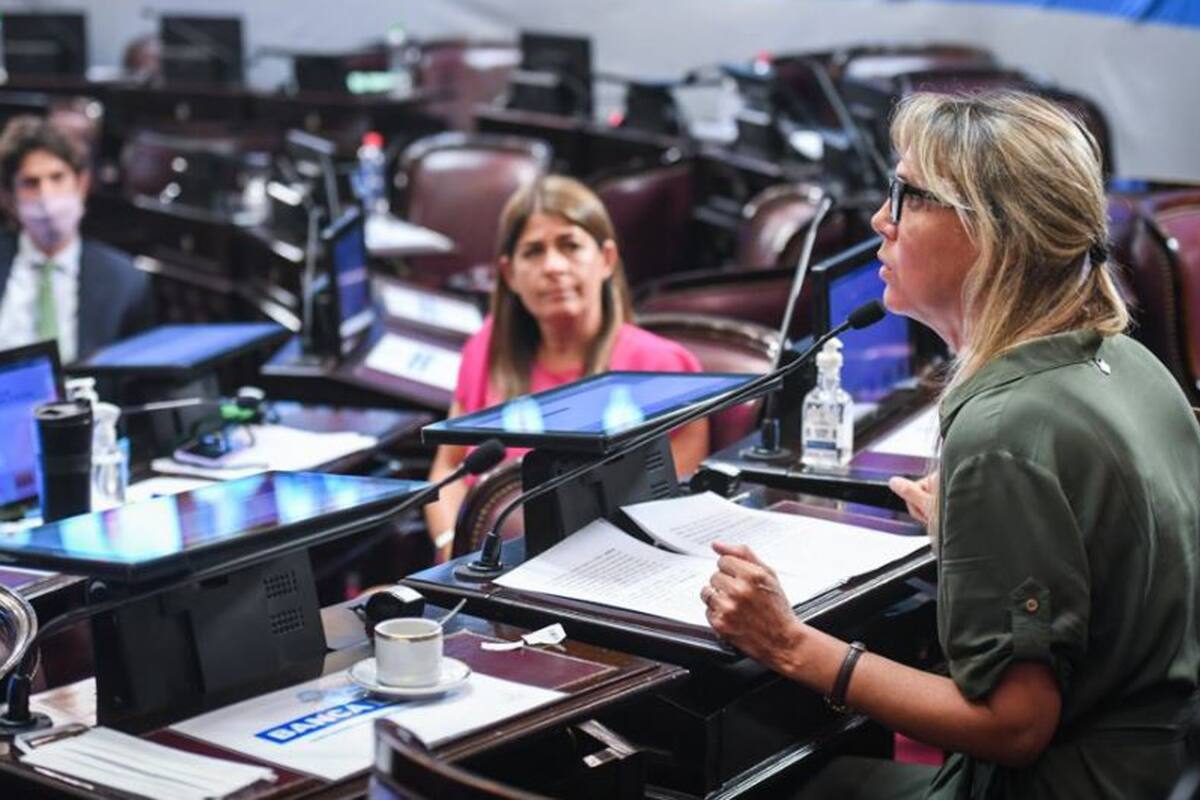 La senadora Gladys González durante su discurso en el Senado