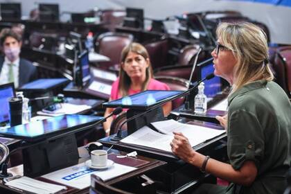 La senadora Gladys González durante su discurso en el Senado