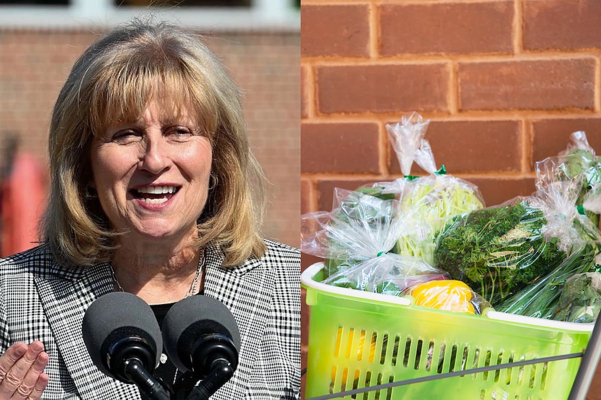 La senadora Judith Schwank lanzó un proyecto de ley que prohibirá las bolsas de plástico en supermercados de Pensilvania