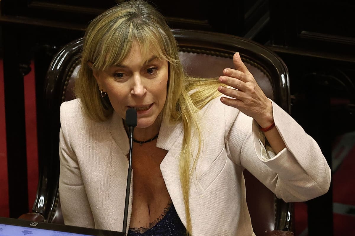 La senadora Juliana Di Tullio, al exponer durante la reforma laboral en el Senado.