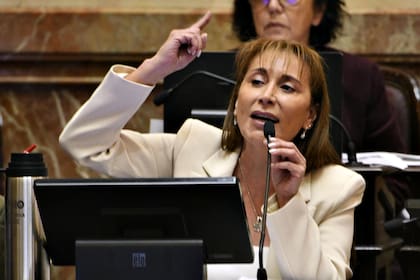 La senadora kirchnerista Cristina López