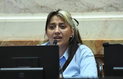 La senadora nacional Natalia Gadano rechazó el veto presidencial a la emergencia en Discapacidad
