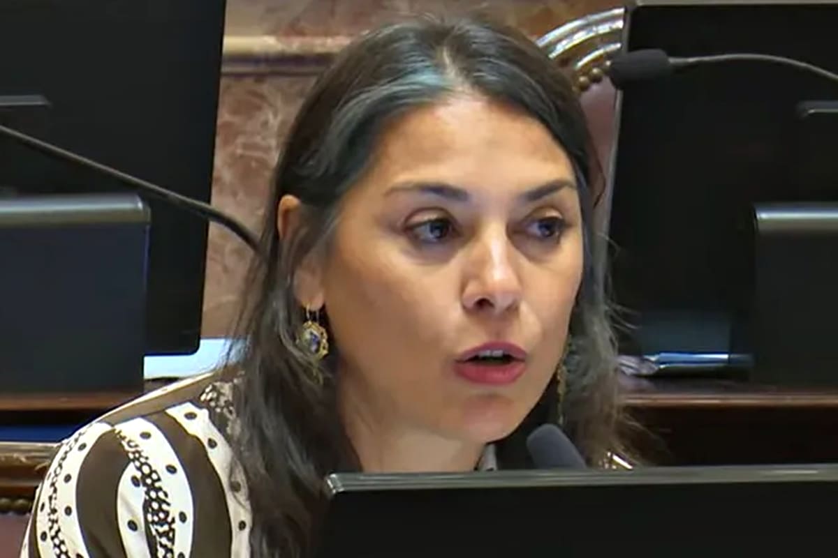 La senadora nacional por el Movimiento Popular Neuquino (MPN), Lucila Crexell