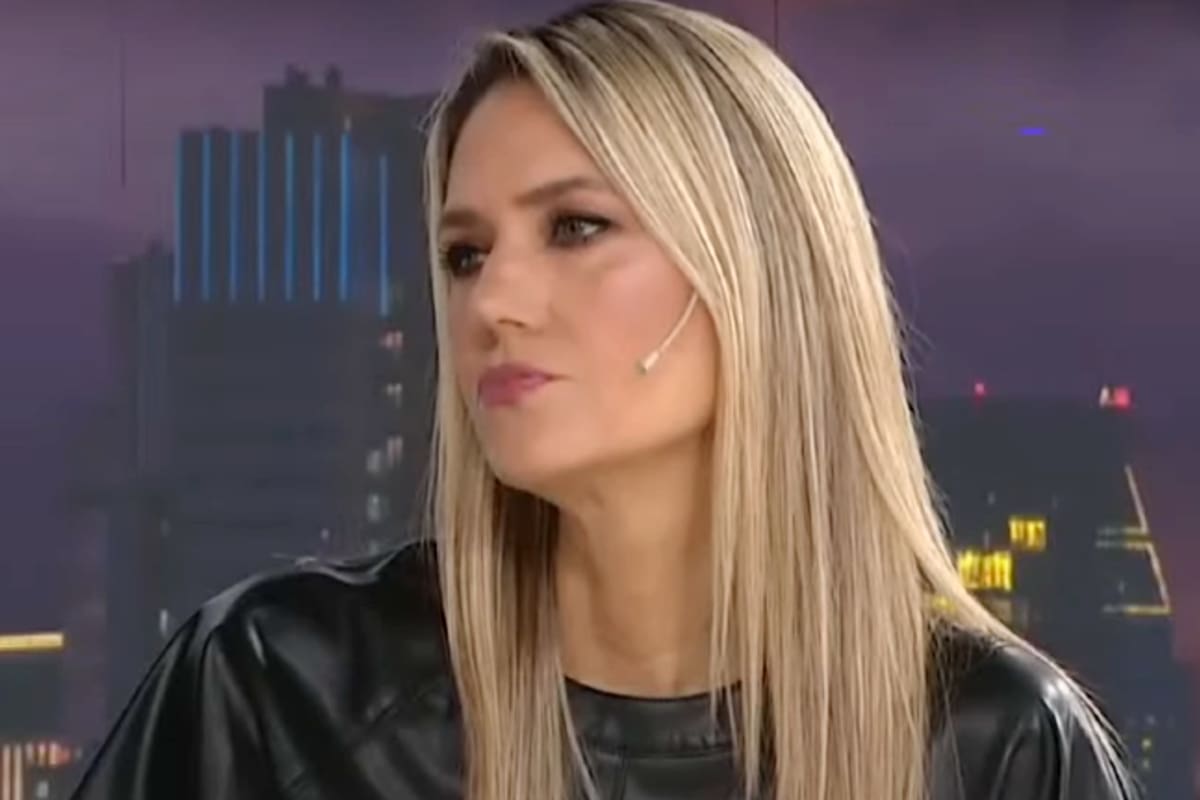 La senadora nacional por la Unión Cívica Radical (UCR), Carolina Losada, en LN+