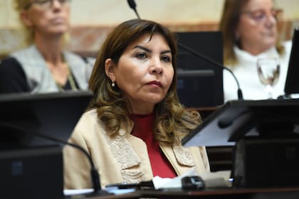 La senadora nacional por Tucumán Sandra Mendoza