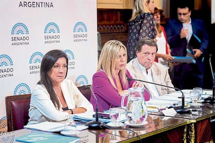 La senadora Sacnun (centro) presidió la reunión de comisión