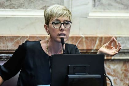 La senadora Silvina Marcela García Larraburu