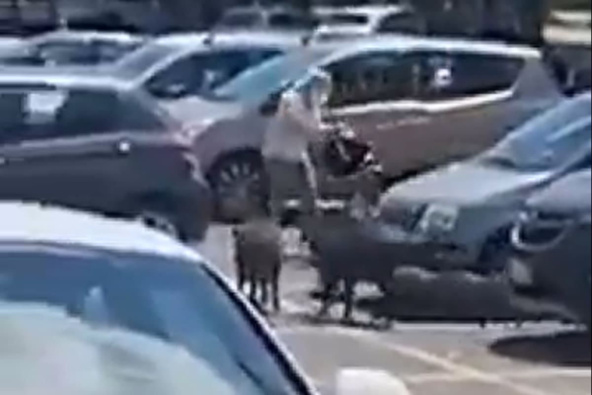 La señora fue abordada en la localidad de Furmello, cercana a Roma. Fuente: Twitter.