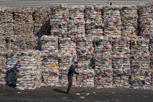 Los envases de plástico recuperados de la basura para reciclar tienen contaminantes peligrosos para la salud