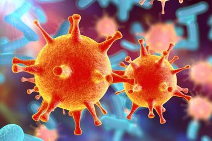 Los principales desencadenantes de la septicemia son las bacterias y los virus que causan infecciones diarreicas o enfermedades pulmonares
