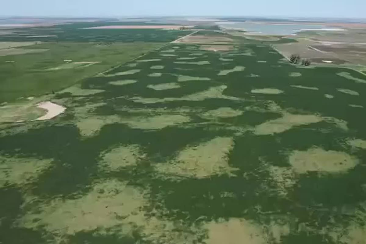 La sequía derrumbó las estimaciones de cosecha