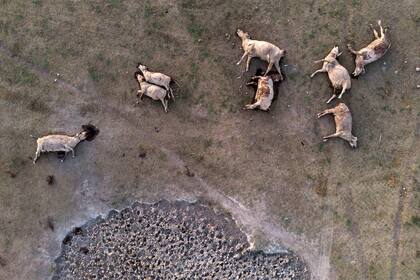 La sequia en el norte de Santa Fe fue forma desesperante