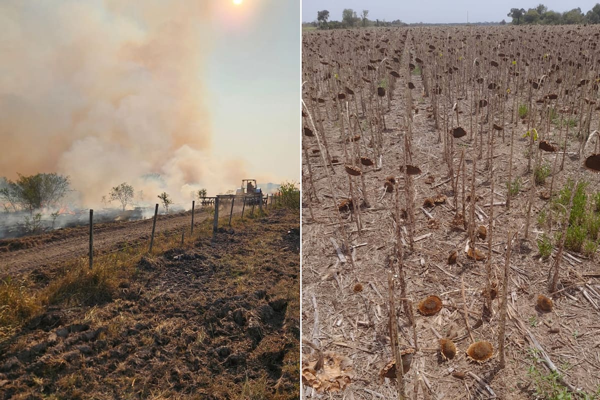 La sequía en el norte santafecino no da tregua e incluso se provocaron incendios