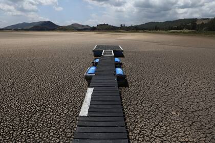 La sequía está azotando cada vez más zonas alrededor del mundo