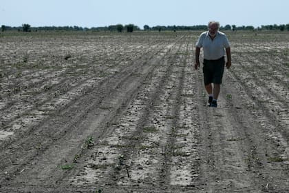 La sequía generó pérdidas millonarias en el norte de Santa Fe y otras zonas de la provincia