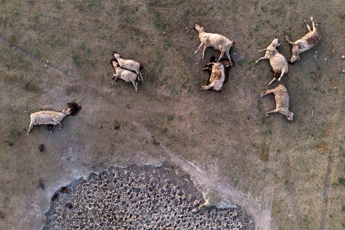 La sequía generó un fuerte impacto en Santa Fe