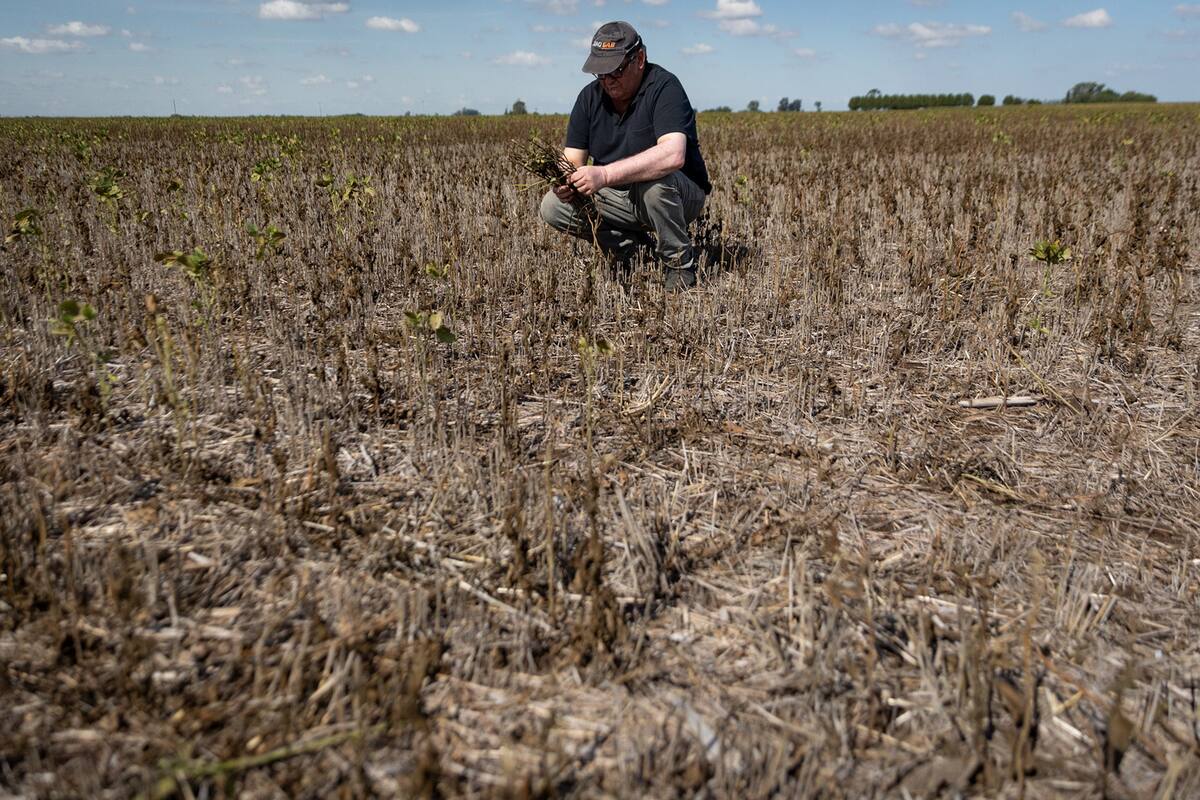 La sequía histórica golpeó al sector agropecuario, lo que terminó por afectar la actividad económica