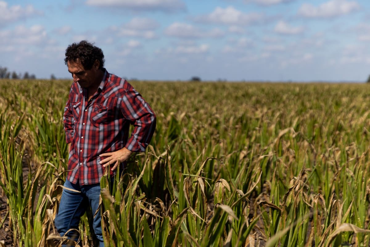 La sequía histórica impactará en la actividad del segundo trimestre de este año