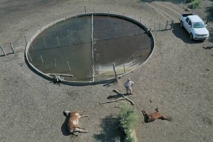 La sequía provocó fuertes pérdidas en el sector agropecuario