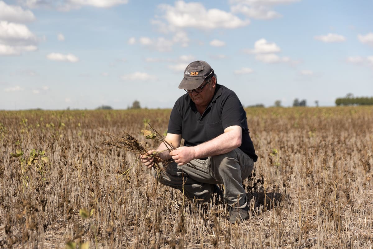 La sequía que impactó en el rendimiento de la producción del agro influyó en el mal dato de actividad de marzo