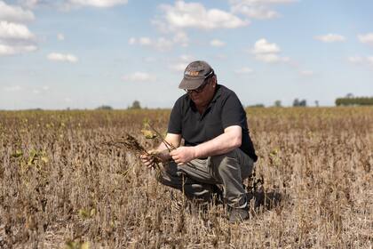 La sequía que impactó en el rendimiento de la producción del agro influyó en el mal dato de actividad de marzo