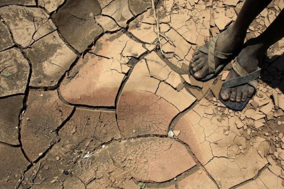 La sequía será, según un informe de la ONU, un problema mundial en este siglo con características similares a las de una pandemia