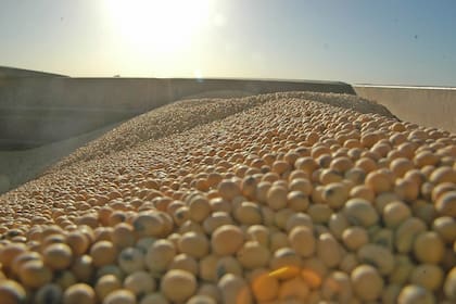 La sequía en la Argentina sigue impulsando los precios del grano tanto en Chicago como en Rosario